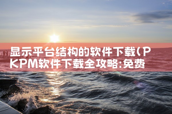 显示平台结构的软件下载|P站专业版