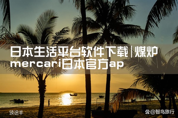 日本生活平台软件下载|P站专业版