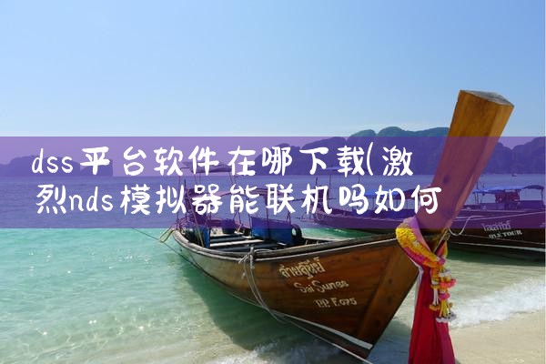 dss平台软件在哪下载|欲漫涩