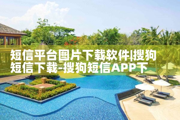 短信平台图片下载软件|P站专业版