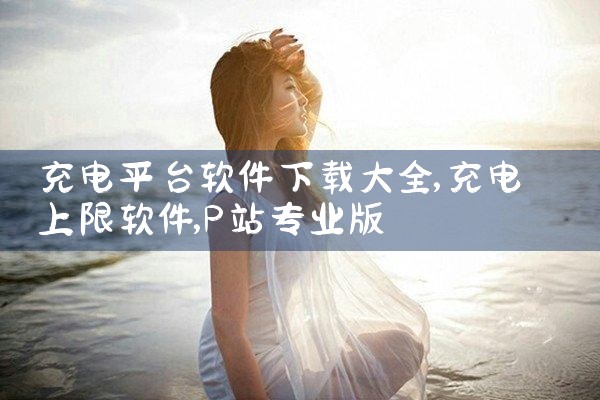 充电平台软件下载大全|P站专业版