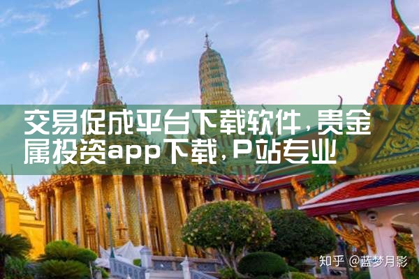 交易促成平台下载软件|P站专业版