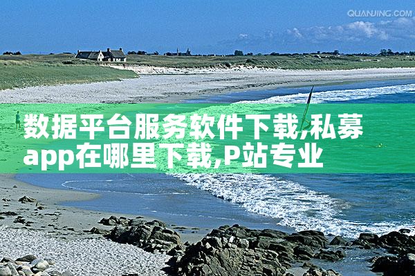 数据平台服务软件下载|P站专业版