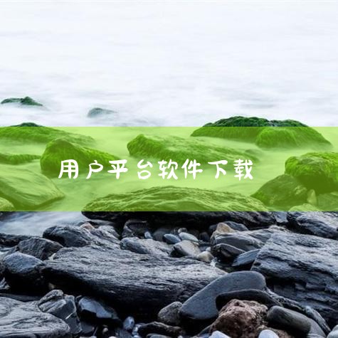 十大软件免费下载网站排行榜依次为：软天空、应用公园、酷安、豌豆荚、应用宝、MT管理器、360手机助手、茄子快传、小米应用商店和华为应用市场。这些网站各具特色，涵盖了各种不同类型的软件下载需求。例如，软,哔咔漫画
