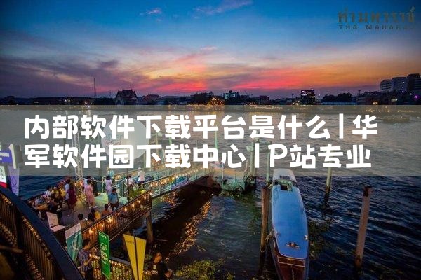 内部软件下载平台是什么|P站专业版