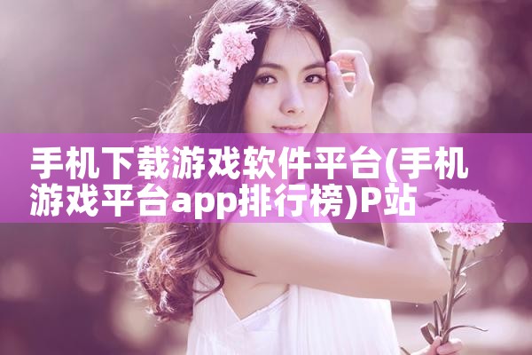 平面设计软件下载平台|P站专业版