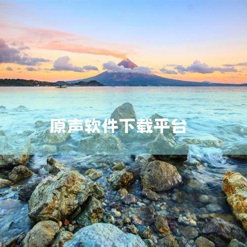 一、下载安装方法 访问官方网站：用户需打开电脑浏览器，输入原声官方网站（http://www.yuanshengapp.com/）进行访问。下载电脑版：在官方网站首页找到“下载”按钮，点击进入下载页面|小蓝视频