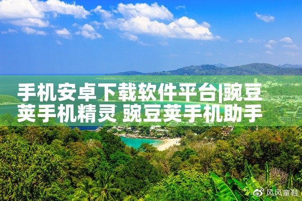 手机安卓下载软件平台|P站专业版