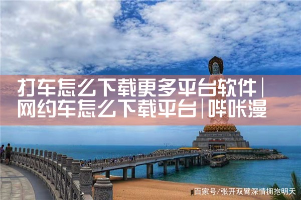 打车怎么下载更多平台软件|哔咔漫画