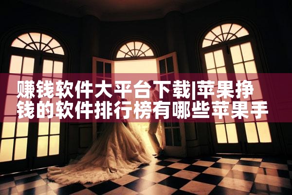 赚钱软件大平台下载|P站专业版