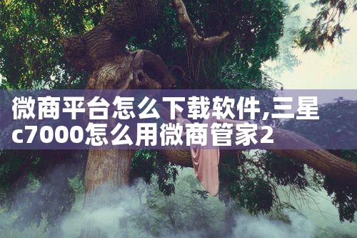 微商平台怎么下载软件|P站专业版