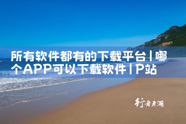 所有软件都有的下载平台|P站专业版