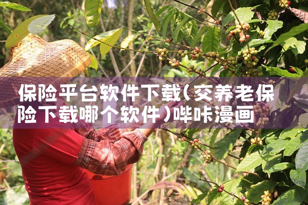 保险平台软件下载|哔咔漫画
