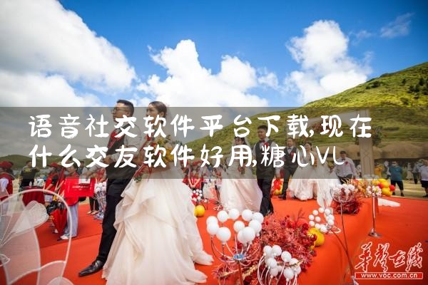 语音社交软件平台下载|糖心Vlog