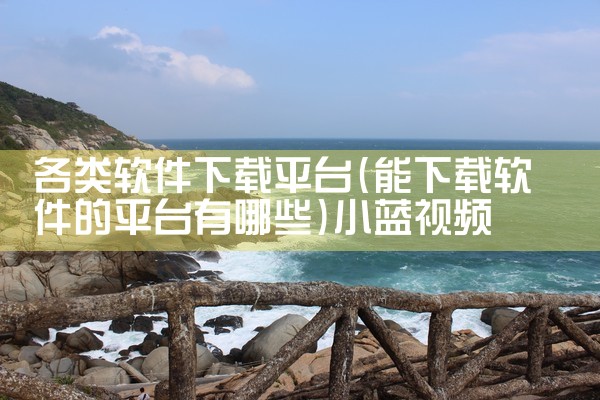 各类软件下载平台|小蓝视频