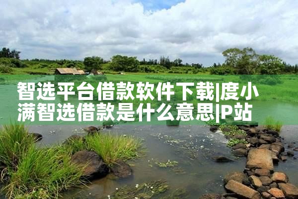 智选平台借款软件下载|P站专业版