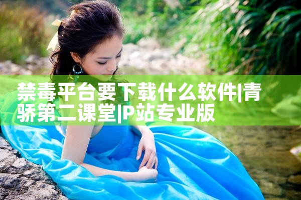 禁毒平台要下载什么软件|P站专业版