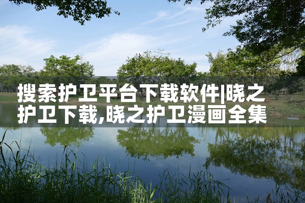 搜索护卫平台下载软件|P站专业版