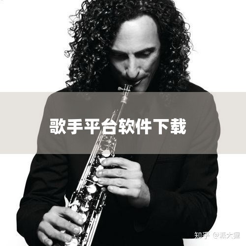 以下是一些热门手机录歌软件：趣唱歌手：可尽情演唱热歌副歌高潮句，录制10 - 30秒小视频分享到平台，能获得粉丝跟拍，助力打造个人粉丝经济。操作简单，一键录制、两步上传、三步成就网红歌手。目前人气预约,小蓝视频