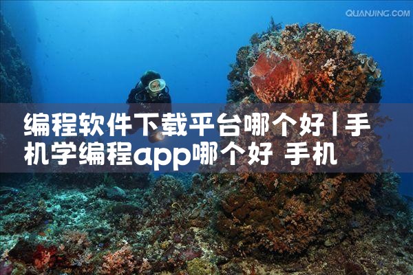 编程软件下载平台哪个好|P站专业版
